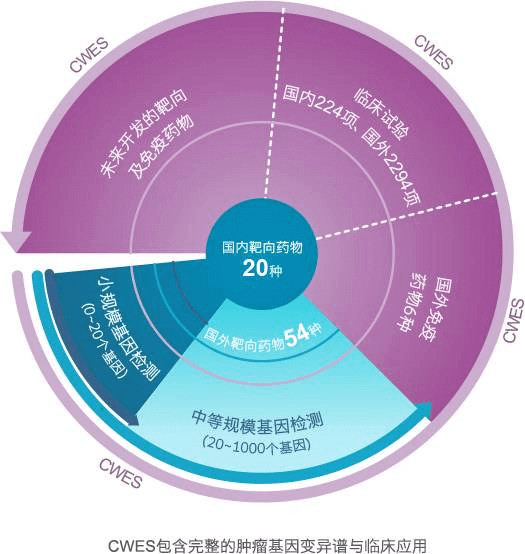 嘉会国际肿瘤中心
